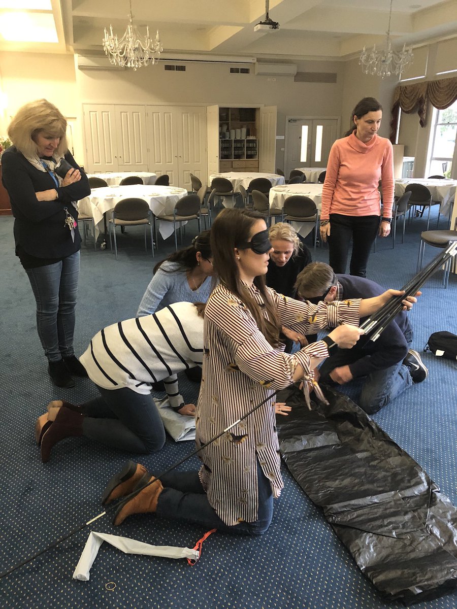 Dr Tina Brock 🌍 🐝 tweet media