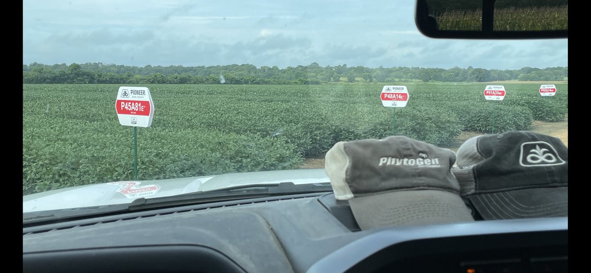 TriCropAgronomy's tweet photo. #WindshieldWednesday in Lee County, MS. I’m evaluating #Pioneer #Enlist #E3 soybeans. MG 3.9 - 5.6. #BinBuster @PioneerSeeds @CortevaUS https://t.co/Z4V1jlMFsG