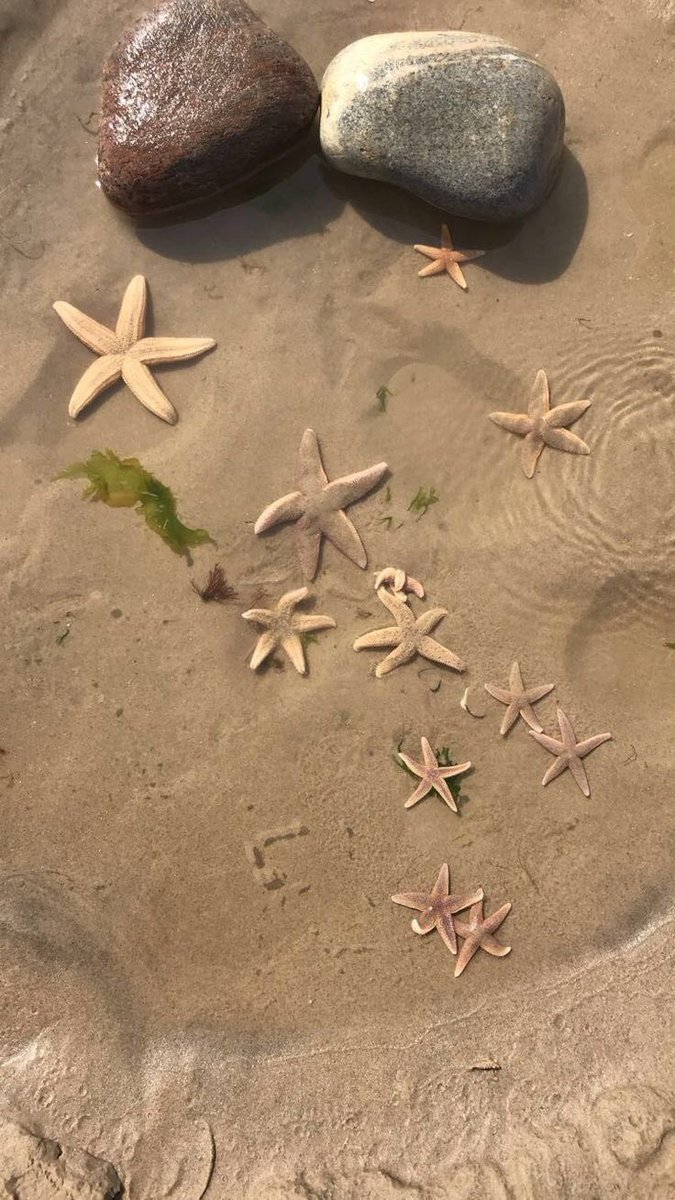 🫶🏻 : school diary 

☆   filo, minor, shs
☆   12 - STEM
☆   journalism, running student leader

↺ / ♡  to be moots 🫧

[ #studytwt #studytwtph #archivetwt ]