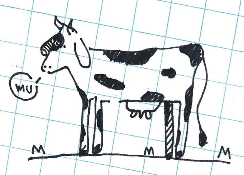 vaca