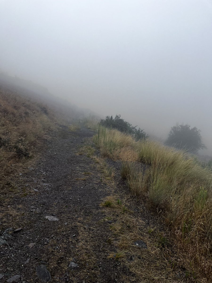 A rainy vacation but the kids and I did over 25km in hiking! Montana was beautiful! #1GoodThingToday