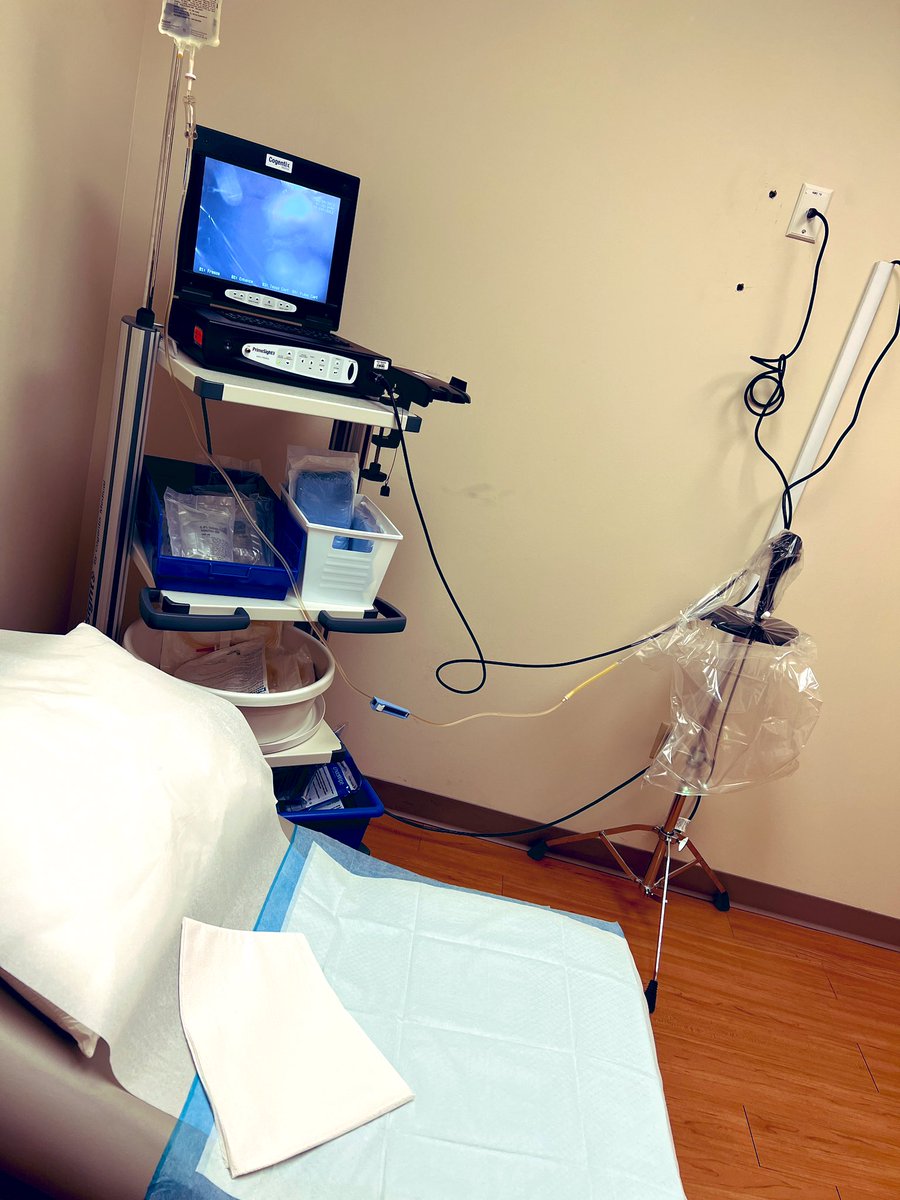 「Cystoscopy done, learned how the inside 」|Val 🐾 LatinVixen 🔜 FWAのイラスト