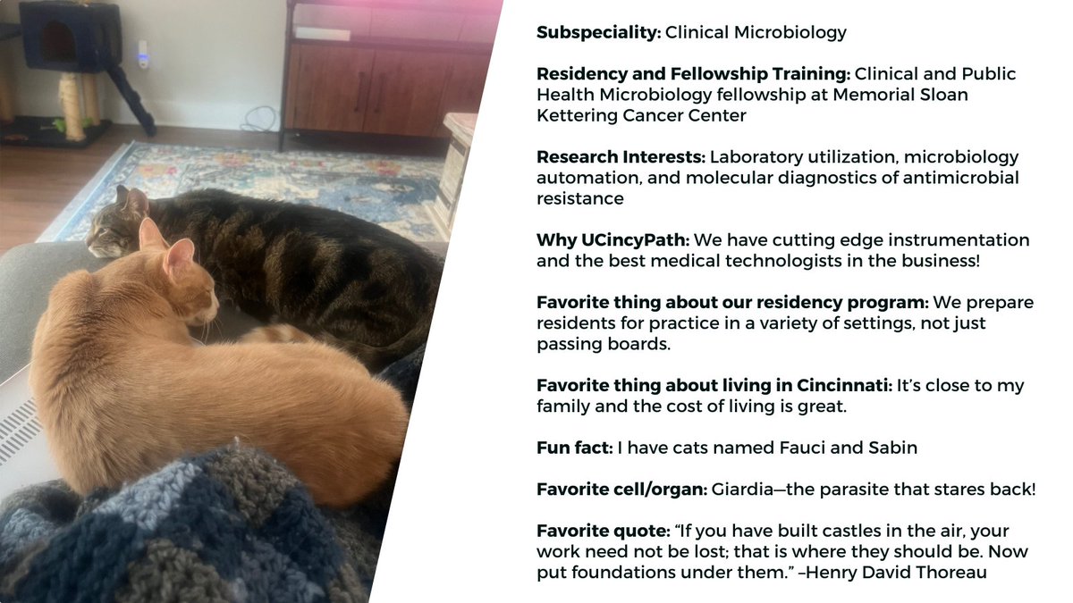 Our Faculty Spotlight: Dr. Eleanor A. Powell, PhD
One of the strongest assets of the program is our faculty. They enjoy teaching and also serve as strong role models and mentors. Very thankful for Dr. Powell’s role in leadership, medical microbiology education, research and more.