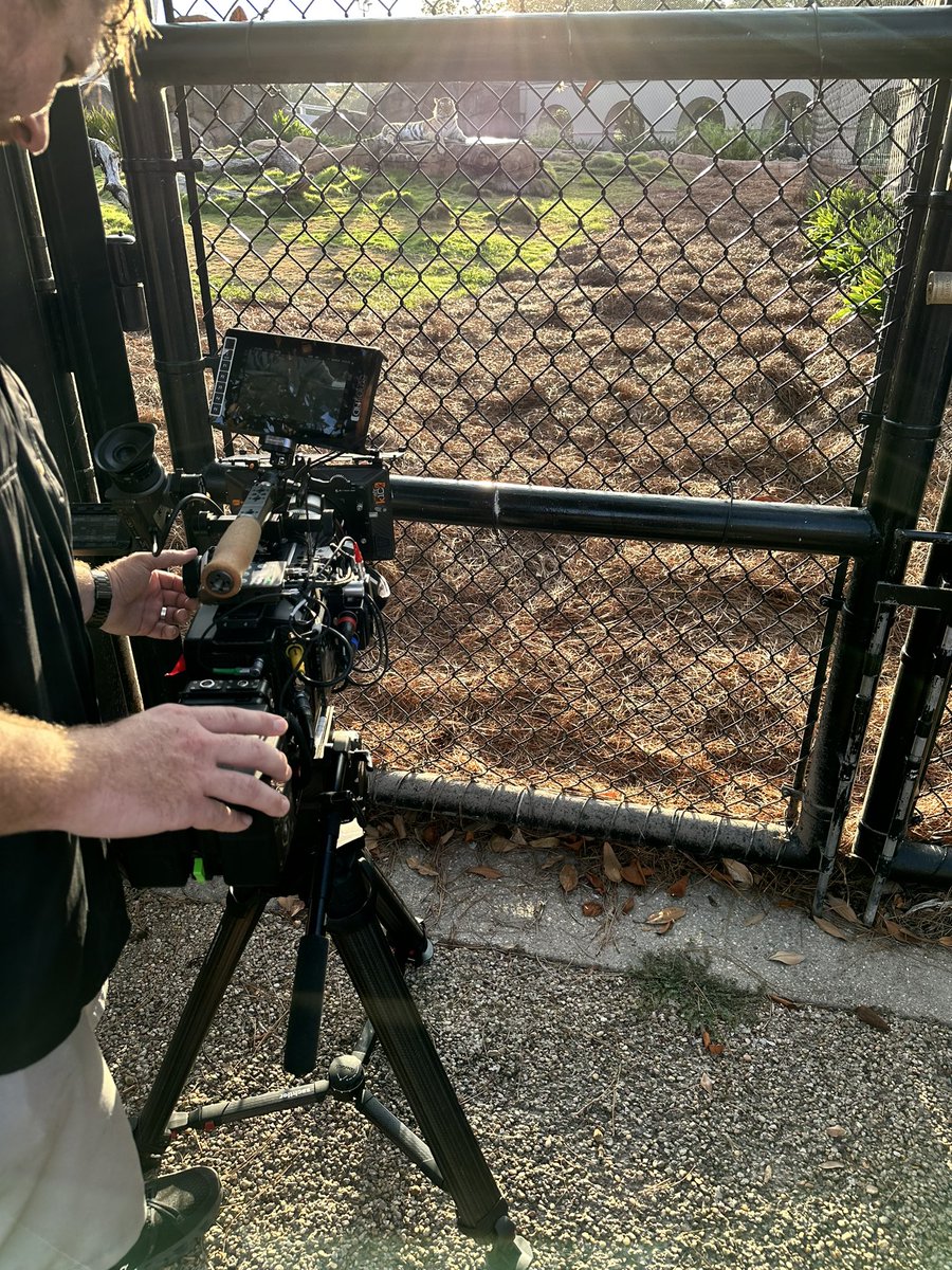 Ginger Guttner tweet media