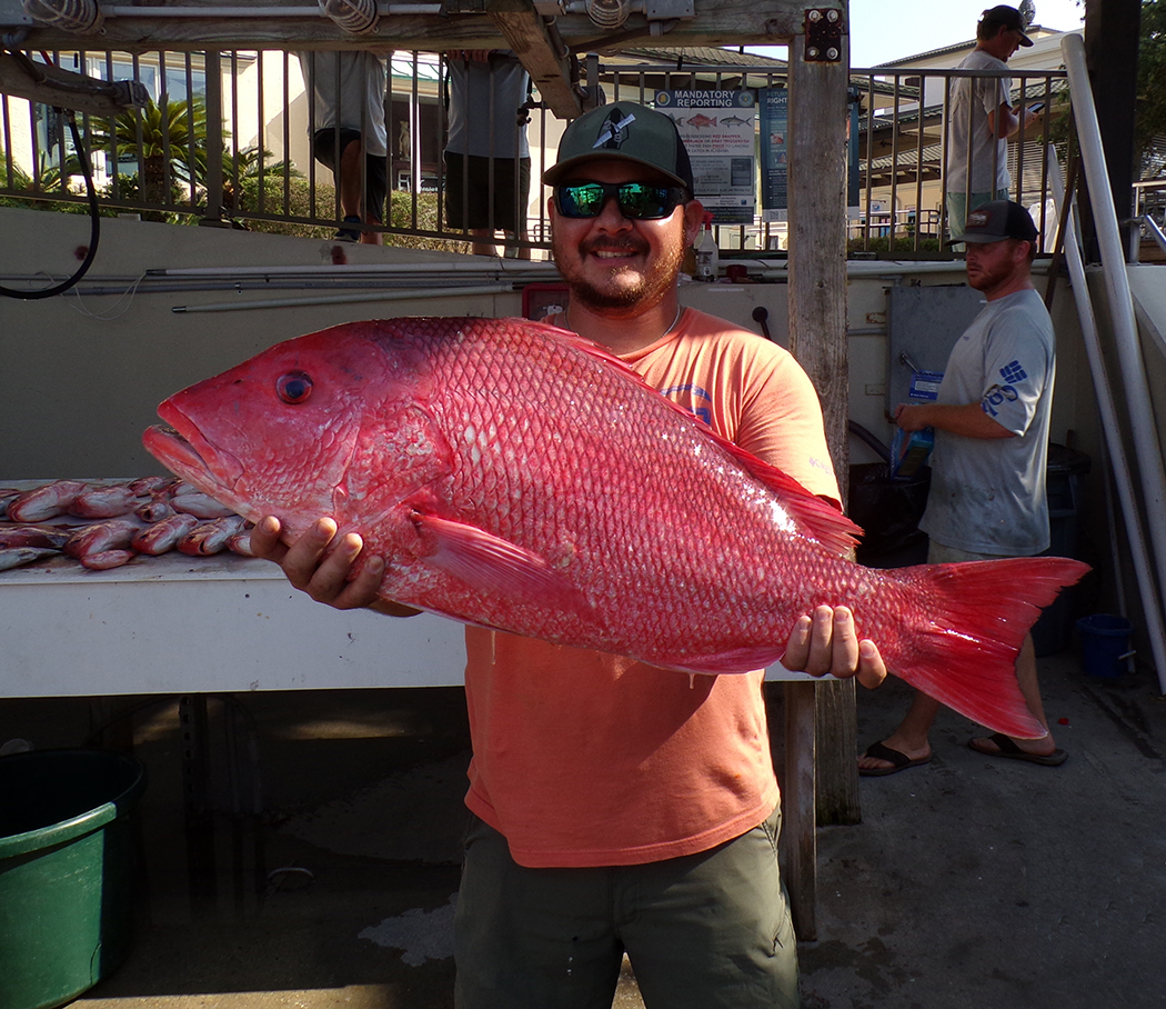 ReelSurprise's tweet photo. We’d say we’ve had a successful #RedSnapper season. Thanks for sharing and choosing Reel Surprise Charters! #reserveyourcharter #orangebeachfishing #orangebeachcharters https://t.co/kzCYu0ceLm