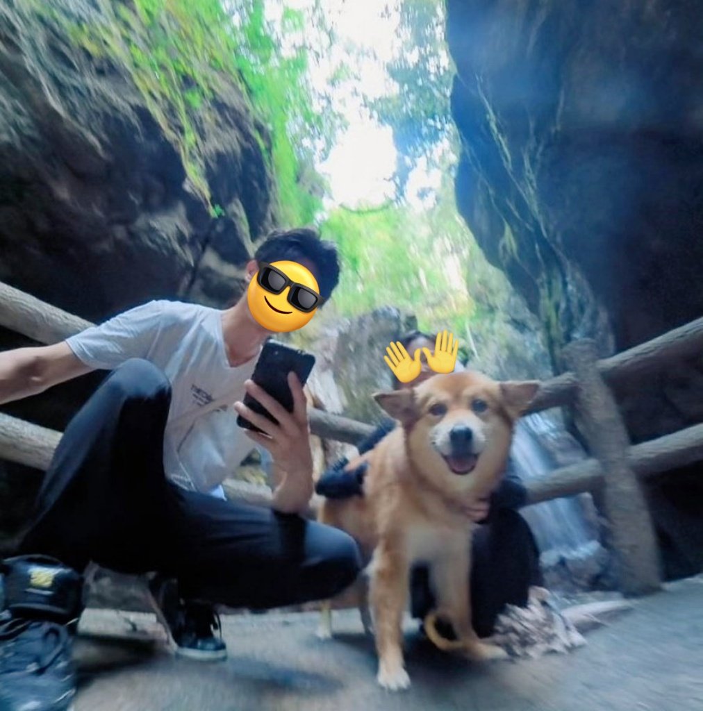 いい笑顔すぎ！！
水平のお耳が愛しい