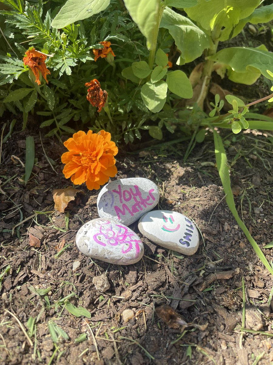 _kindnessinmind's tweet photo. End of 21st Century Program, kids made kindness rocks. Kindness is contagious. #whrams #kindnessrocksproject @KindnessRocks @WhufsdRams @WHChestnut https://t.co/qaIsOE5Yxr