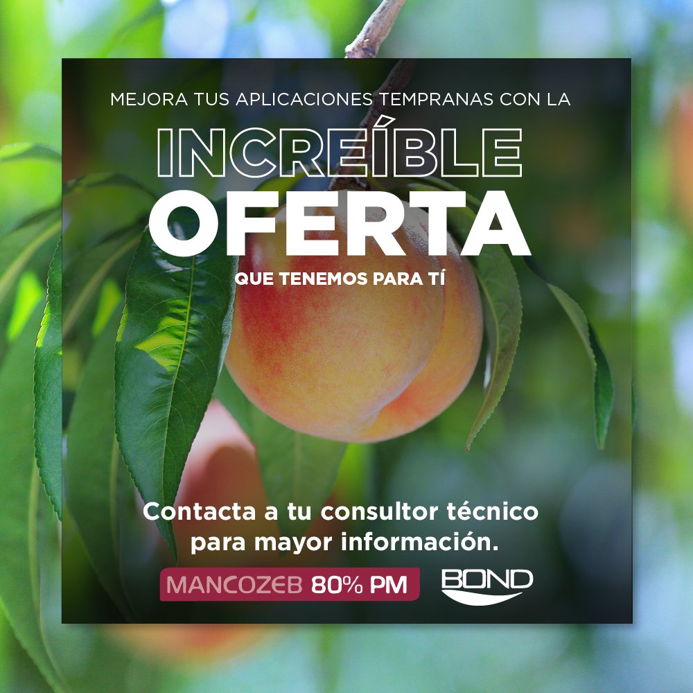 ¿Ya aprovechaste la promoción que tenemos para ti? 🔥

¡Conoce nuestro fungicida #Mancozeb! Junto con #BOND, un adyuvante de #Loveland, vas a lograr total protección en el desarrollo de tus cultivos y así, obtener resultados eficientes.🍑

¿Quieres saber más?
¡Escríbenos!