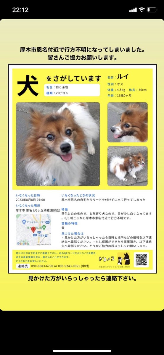 kimityyy24's tweet photo. おじいちゃんの家のわんちゃんが脱走してしまいました😭老犬なのであまり目も見えず、この暑さと雨の中弱っているだろうに、一刻も早く見つけてあげたいです😭
ご協力お願いいたします😭
#拡散希望 #厚木市 https://t.co/MwNXXROt0o