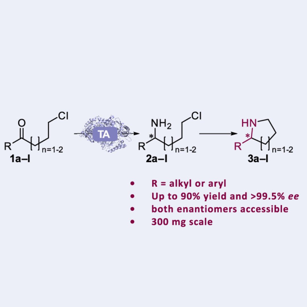 Enantio-Complementary Synthesis of 2-Substituted Pyrrolidines and Piperidines via Transaminase-Triggered Cyclizations

<a href="/chrismheckmann/">Christian Heckmann</a> and <a href="/Caroline_E_Paul/">Caroline Emilie Paul</a> 

Check it out 👉 go.acs.org/5Me