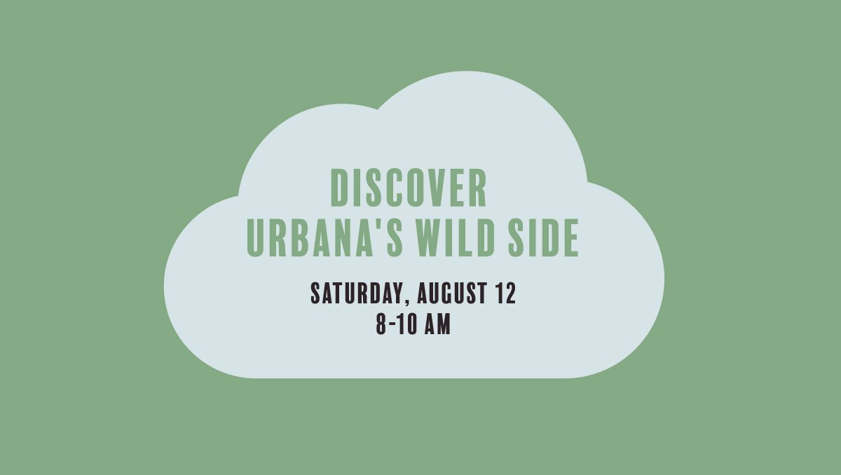 IGBIllinois's tweet photo. Join us on SATURDAY at 8 AM to make some bird friends! 

Register at https://t.co/CQ8wVOZKdD and we will see you at the UPDAC Learning Pavilion, outside the Anita Purves Nature Center. https://t.co/OZUc7Eq52e