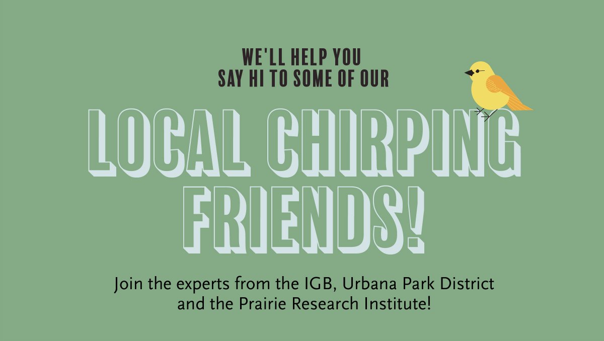IGBIllinois's tweet photo. Join us on SATURDAY at 8 AM to make some bird friends! 

Register at https://t.co/CQ8wVOZKdD and we will see you at the UPDAC Learning Pavilion, outside the Anita Purves Nature Center. https://t.co/OZUc7Eq52e
