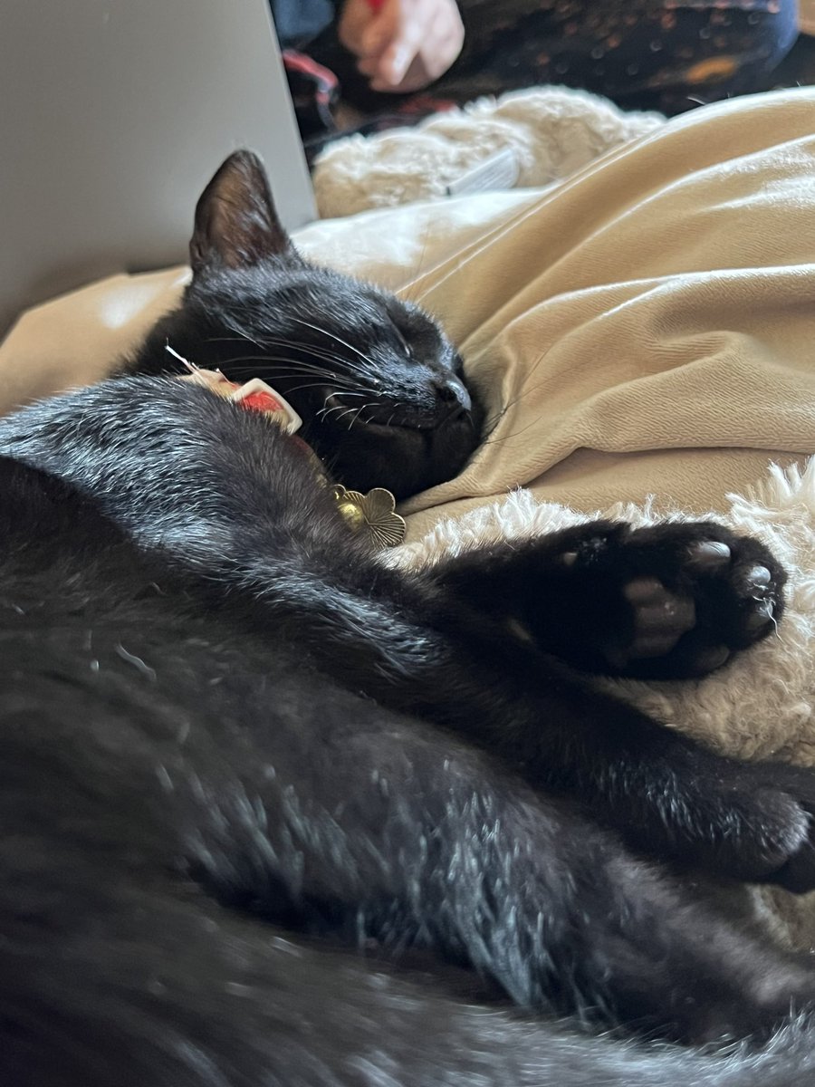 the old mal tweet media