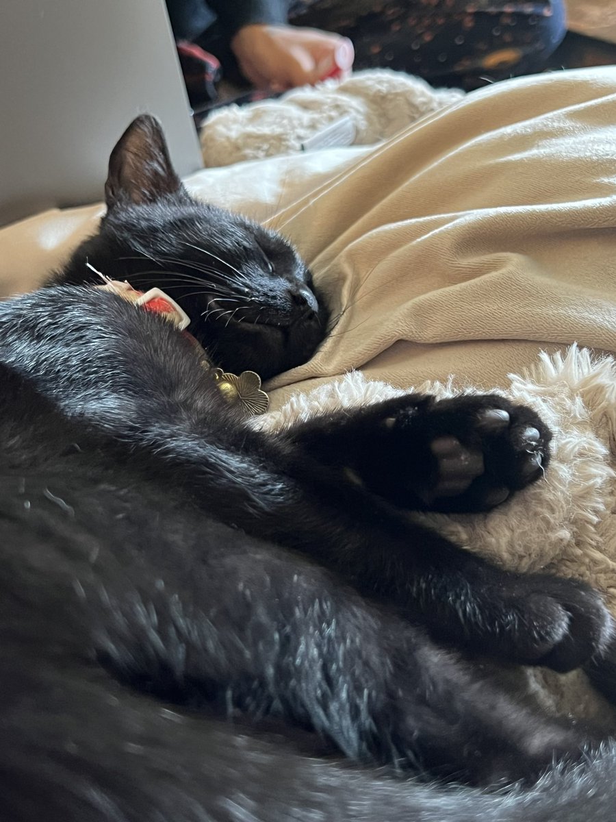 the old mal tweet media