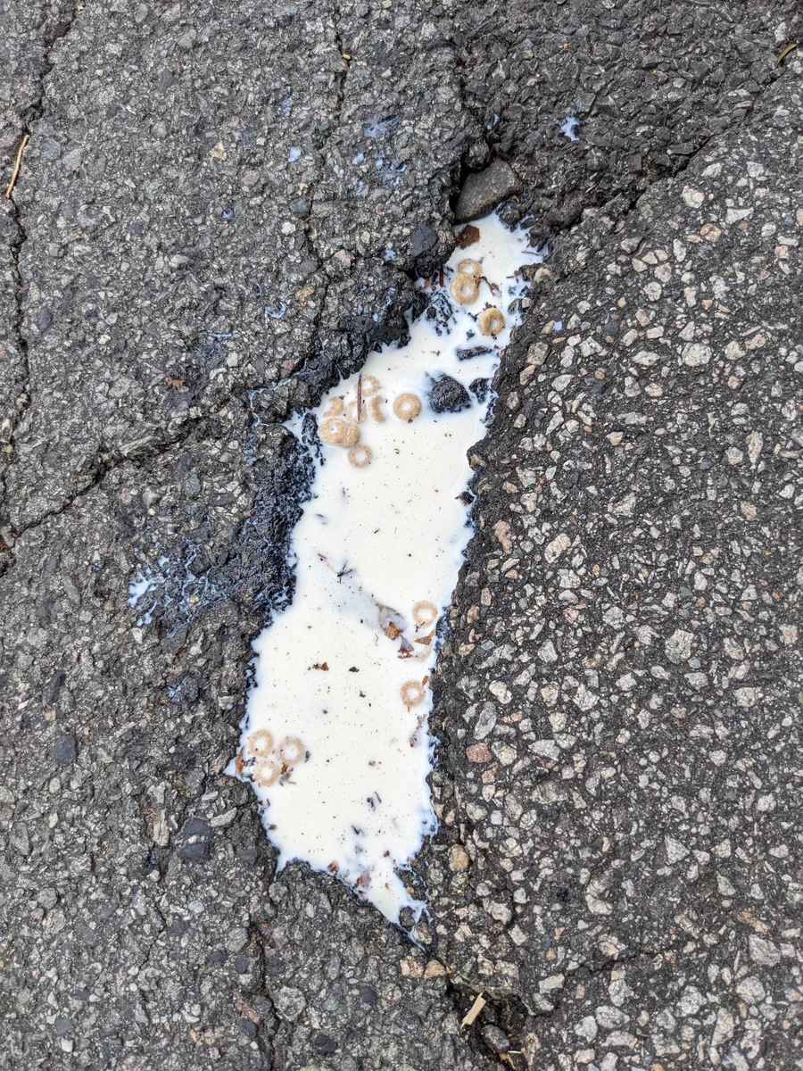 Crack in the pavement of a street filled with milk and Cheerios