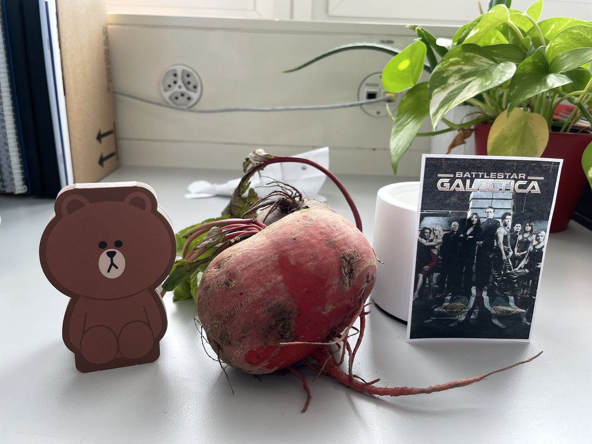 Just another day at #theoffice / in the lab. Sometimes experiments just don’t go as planned. Can always count on labmates to bring sillyness &amp; laughter: Bears. Beets. Battlestar Galactica. 
#funwithvastenhouwies