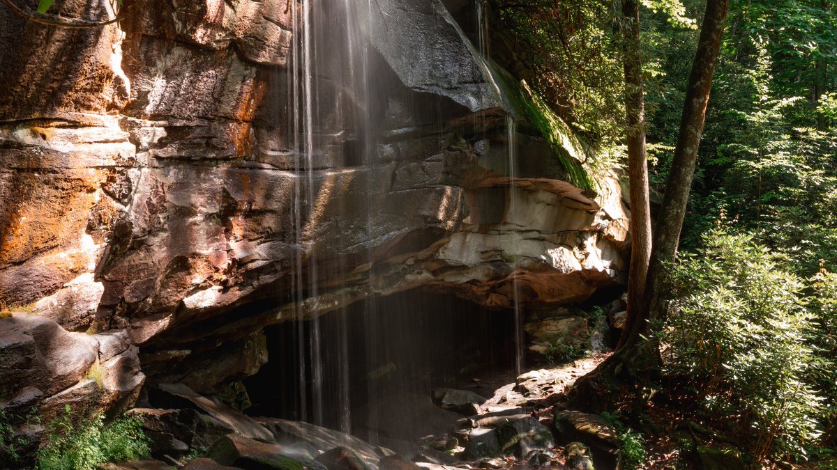 Explore_Brevard's tweet photo. Today, we chase waterfalls and create memories that cascade through time!๐ฆ๐
#waterfallwednesday #explorebrevard https://t.co/0l6ddXOACv