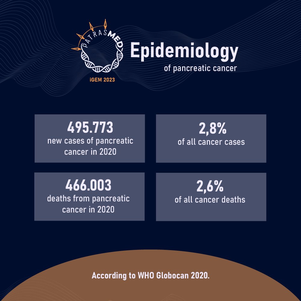 Patras Medicine iGEM 2024 tweet media