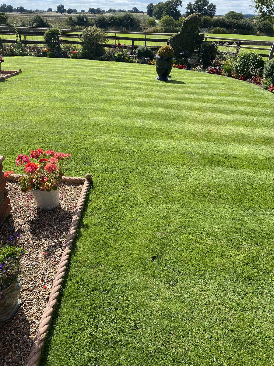 Tim Pollard tweet media