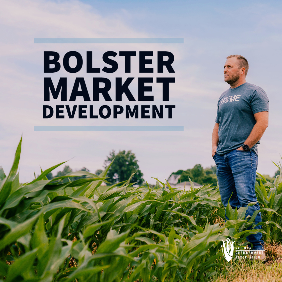 NationalCorn's tweet photo. The Market Access Program (MAP) helps producers, trade groups, private companies and other organizations finance promotional activities for agricultural products from the United States: https://t.co/KetzbRRlR9.

Learn more on NCGA's #FarmBill priorities: https://t.co/GmYHq3T7mE. https://t.co/XvA9vz5hMD