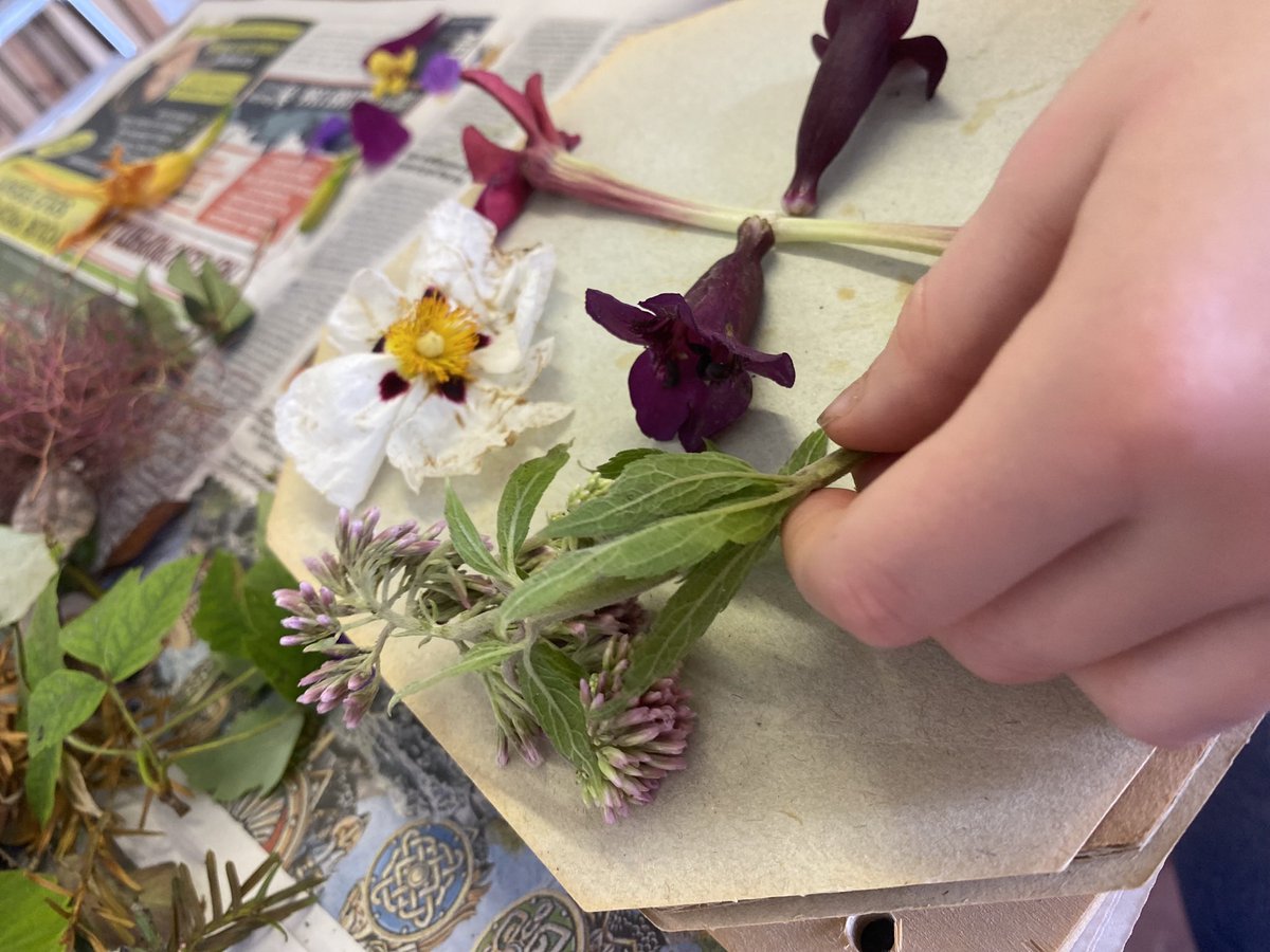 Lindseyeleven2's tweet image. #Anthotype #Workshop for #Families
Thursday 17 August, 1-3pm, Apron Community Garden #ShorehambySea £10 per child
Join #Photographic Artist Lindsey Smith to create a plant-based photographic print. For more details and booking information:
…orkshop-for-families.eventbrite.co.uk/?aff=oddtdtcre…