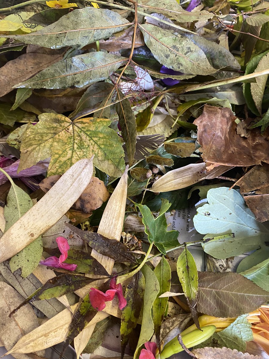 Lindseyeleven2's tweet image. #Anthotype #Workshop for #Families
Thursday 17 August, 1-3pm, Apron Community Garden #ShorehambySea £10 per child
Join #Photographic Artist Lindsey Smith to create a plant-based photographic print. For more details and booking information:
…orkshop-for-families.eventbrite.co.uk/?aff=oddtdtcre…