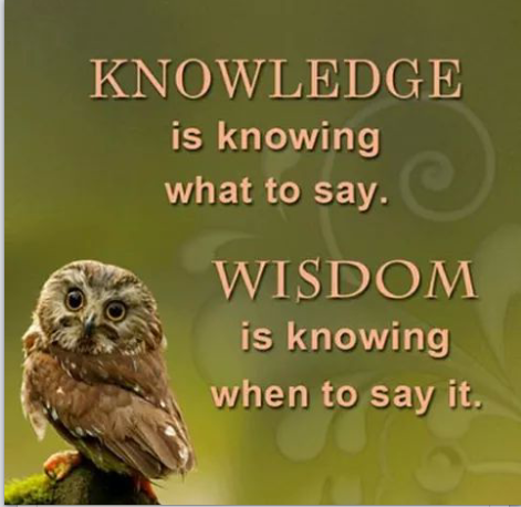 Knowledge is just a pile of facts, wisdom is knowing how to use them.