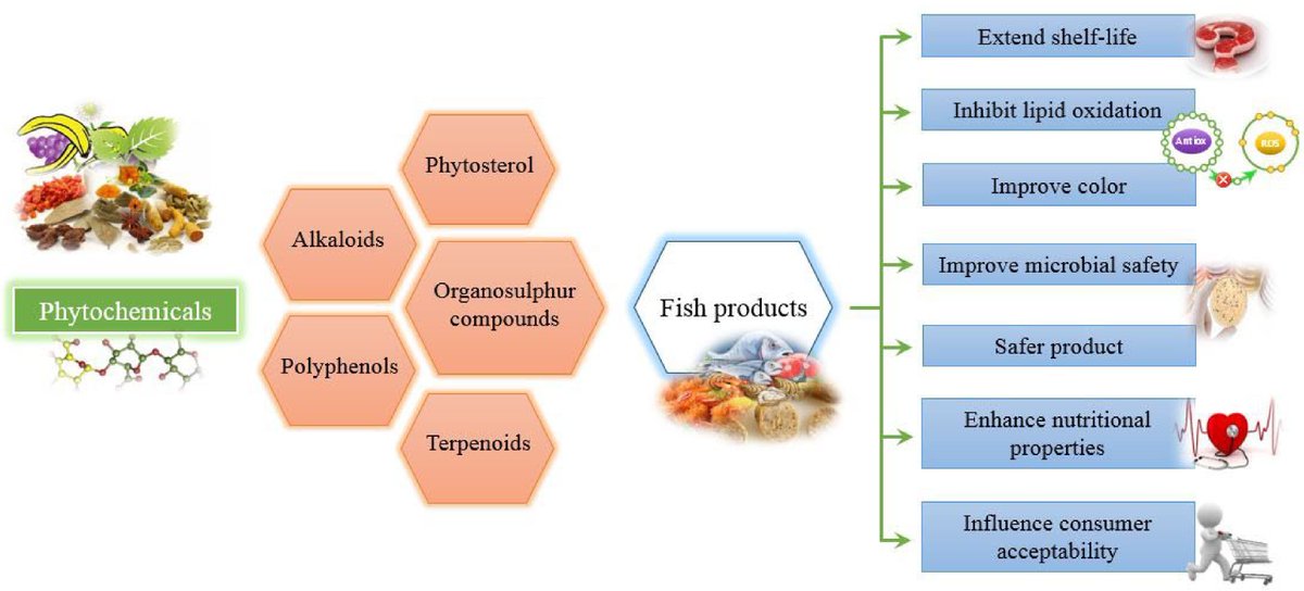 FoodAdvance1's tweet image. Fish products can deteriorate in quality during storage. Natural additives like plant-derived phytochemicals can improve quality, safety, and shelf-life, providing healthy options for consumers. #fishproducts #naturaladditives
maxapress.com/article/doi/10…