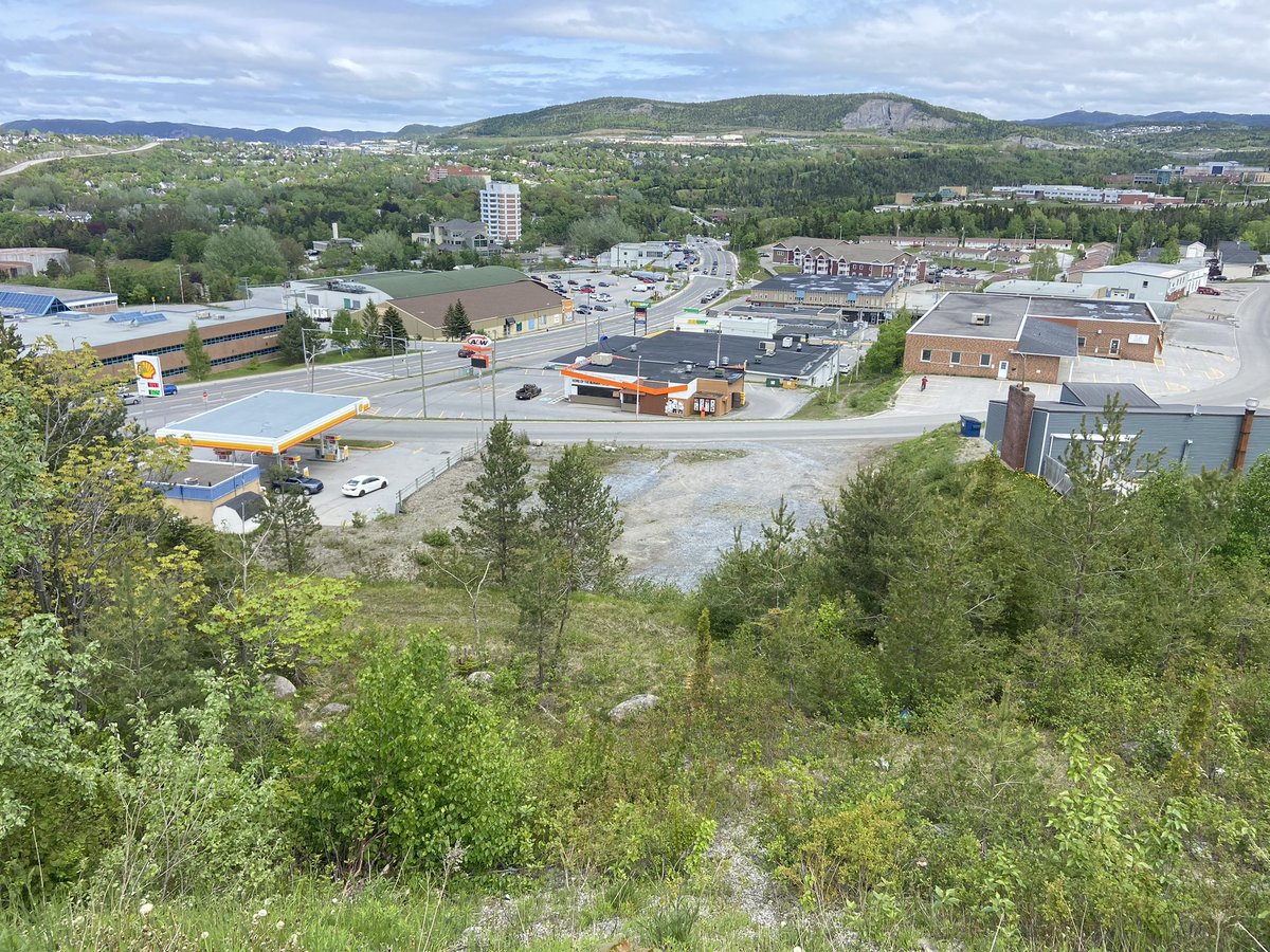 derekjlayman7's tweet photo. Views of the harbour! Commercial Acreage (1.95 acres with Light industrial Zoning)  in Corner Brook! High exposure, High visibility across the Street is A&amp;W, Subway, Little Caesars &amp; walking distance to NLC and Supermarket! MLS 1259677
Royal Lepage NL Realty https://t.co/61NSSvrF1R
