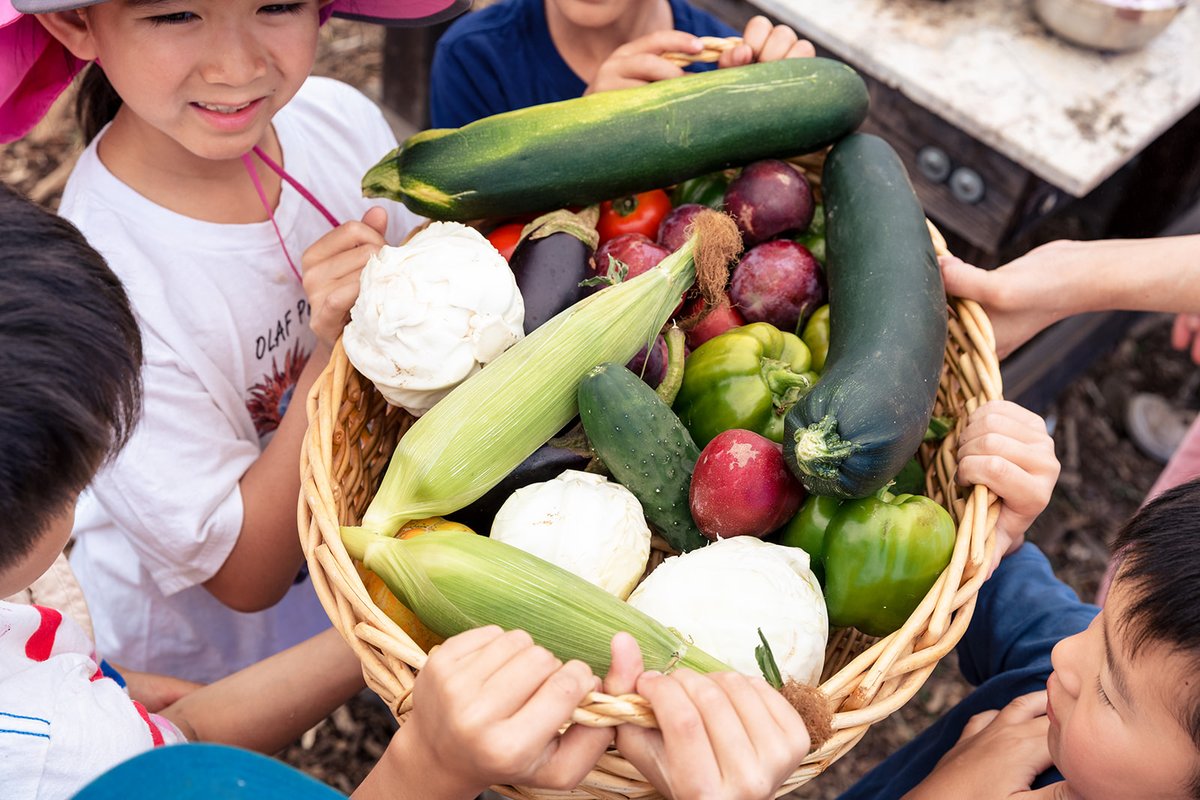 Stanford Department of Medicine (@stanforddeptmed) on Twitter photo Your eyes don't deceive you: Those are, in fact, kids *happily* eating veggies! Thanks to our #StanDOM team members & the Stanford #PlantBasedDiet Initiative for sharing the joy of healthy eating with kids at the <a href="/SantaClaraUSD/">Santa Clara USD</a> Farm. Hungry yet?
<a href="/StanfordMed/">Stanford Medicine</a> <a href="/StanfordHealth/">Stanford Health Care</a> Your eyes don't deceive you: Those are, in fact, kids *happily* eating veggies! Thanks to our #StanDOM team members & the Stanford #PlantBasedDiet Initiative for sharing the joy of healthy eating with kids at the <a href="/SantaClaraUSD/">Santa Clara USD</a> Farm. Hungry yet?
<a href="/StanfordMed/">Stanford Medicine</a> <a href="/StanfordHealth/">Stanford Health Care</a>