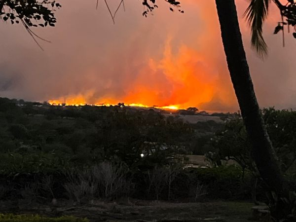 Thitraapp's tweet photo. Status update at Maui. Pray !!!!!
#MauiFires #Maui #mauinews https://t.co/Io9UR3HLMC
