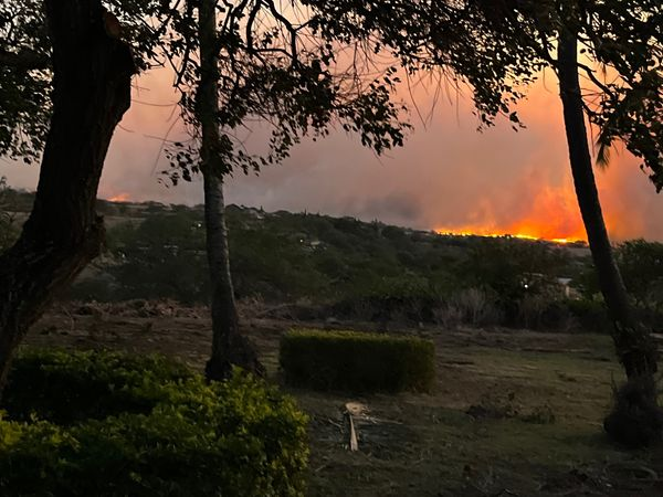 Thitraapp's tweet photo. Status update at Maui. Pray !!!!!
#MauiFires #Maui #mauinews https://t.co/Io9UR3HLMC