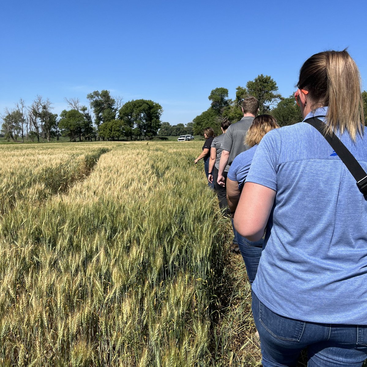 a1agronomy's tweet image. We were so excited to have some visitors from @sunriseCU last week. 
We took the crew through some fields to explain why and how we scout, what we're looking for and the value of SWATMAPS 🌱 

Thank you to Bevan, Ashley, Mandy, and Danielle for joining us. 
#SunriseAg #agmb