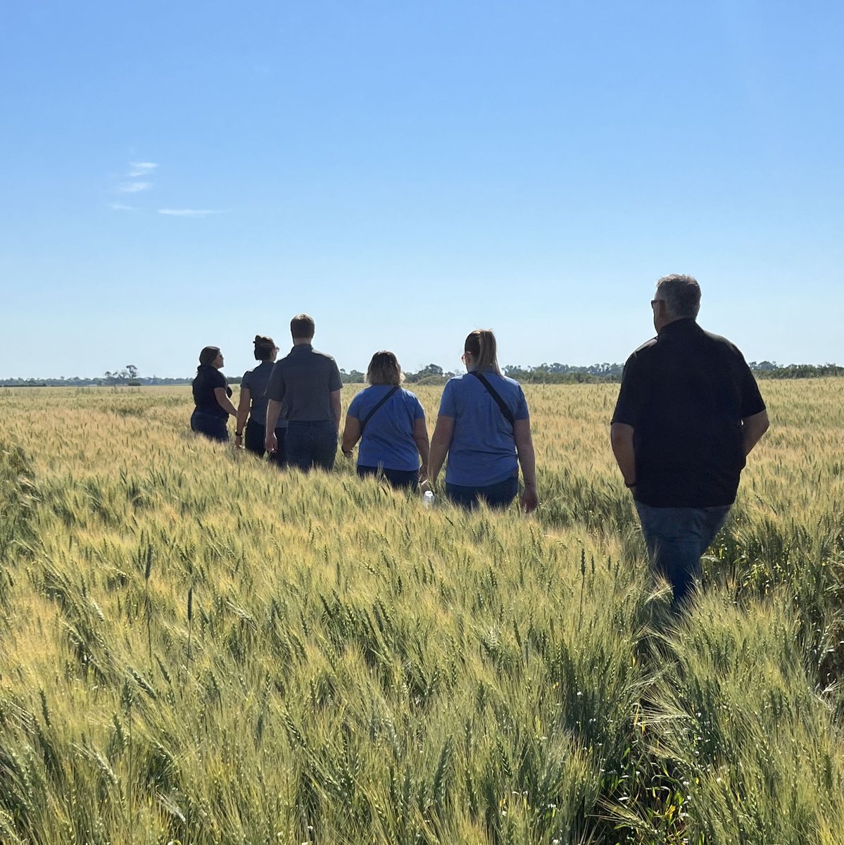 a1agronomy's tweet image. We were so excited to have some visitors from @sunriseCU last week. 
We took the crew through some fields to explain why and how we scout, what we're looking for and the value of SWATMAPS 🌱 

Thank you to Bevan, Ashley, Mandy, and Danielle for joining us. 
#SunriseAg #agmb