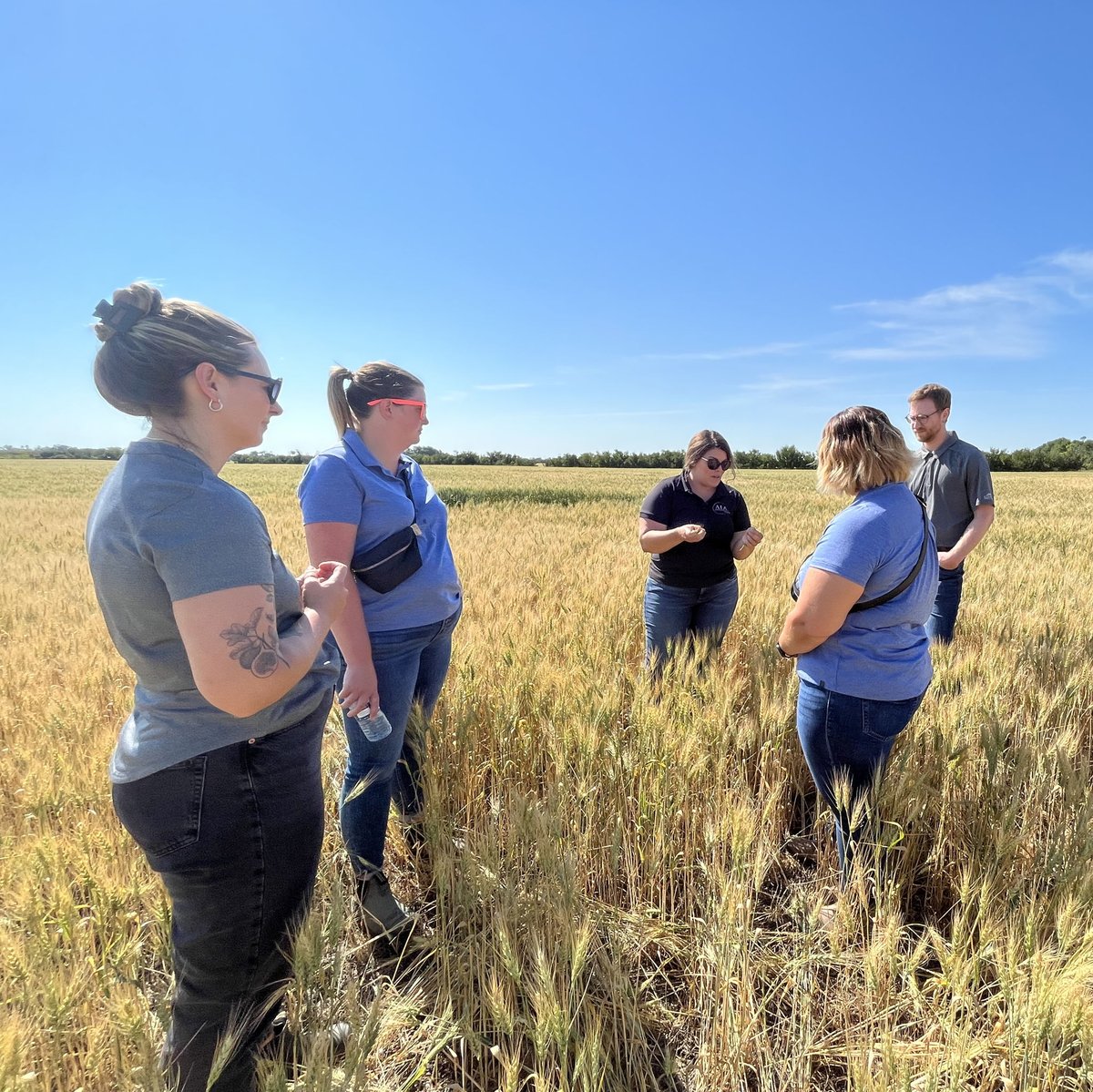 a1agronomy's tweet image. We were so excited to have some visitors from @sunriseCU last week. 
We took the crew through some fields to explain why and how we scout, what we're looking for and the value of SWATMAPS 🌱 

Thank you to Bevan, Ashley, Mandy, and Danielle for joining us. 
#SunriseAg #agmb