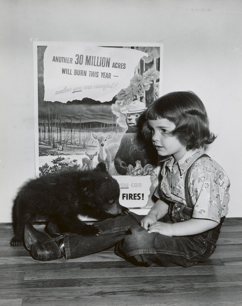 Today marks the birthday of one of <a href="/USDA/">Dept. of Agriculture</a>'s most famous bears, Smokey Bear. This beloved American icon has been safeguarding our lands from wildfires since 1944.

From all of us at <a href="/USDA/">Dept. of Agriculture</a>, we wish you a happy birthday, Smokey! 🐻