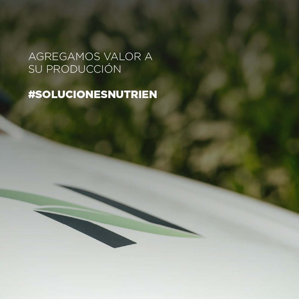Vive junto a nuestros consultores técnicos desde la siembra, hasta la cosecha del cultivo un asesoramiento personalizado para garantizarte excelentes resultados.
Siempre presentes en el campo🌾, acompañando al productor.

👉🏻 ¡Consultanos!

#NutrienCL #MásNutrien #MásAsesoramiento