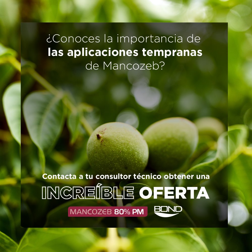 ¿Quieres controlar la enfermedad y el desarrollo de tu cultivo? ¡Contamos con una excelente promoción que no te puedes perder!

Contáctate con tu consultor técnico y pídele asesoramiento sobre nuestros eficientes productos: #Mancozeb y #Bond.

¡Te acompañamos en cada paso!