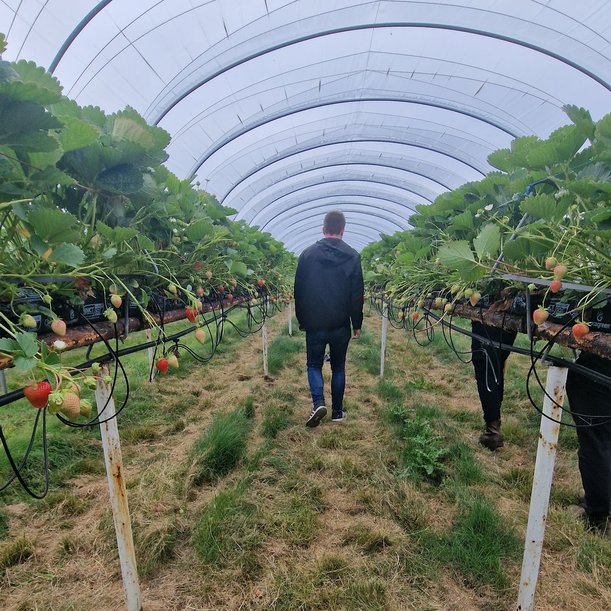 EATS Project tweet media