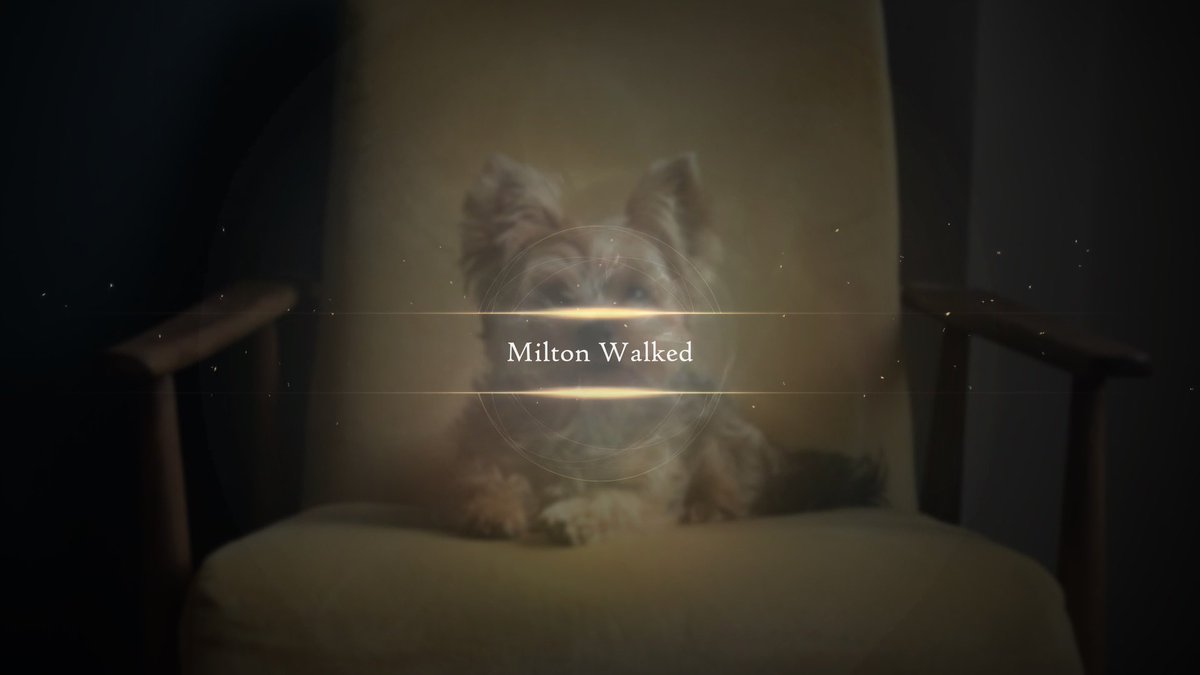The_Ben_Starr's tweet photo. Another spectacular quest for Milton 🐾 https://t.co/nHat4oKLHy