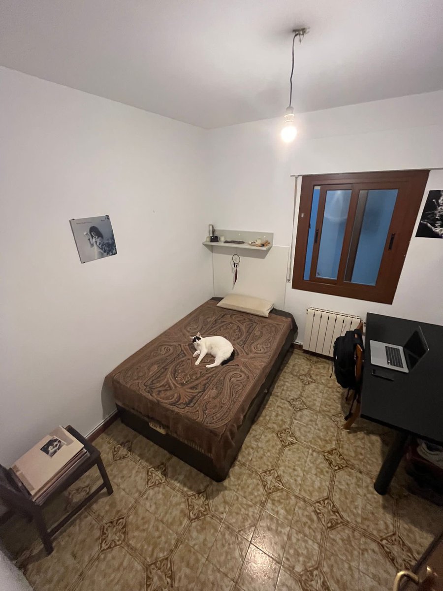 msrinauri's tweet photo. holiii🌞💐

alquilamos habitación para octubre y noviembre

📍Barrio de Gràcia (Barcelona)
Ⓜ️ A 5 mins de Diagonal (L3 y L5)
💶 315€ (con gastos)
⚠️ Hay 1 gato :)

si compartís nos hacéis un favorazo🫶💕 https://t.co/6vyUrln1u6