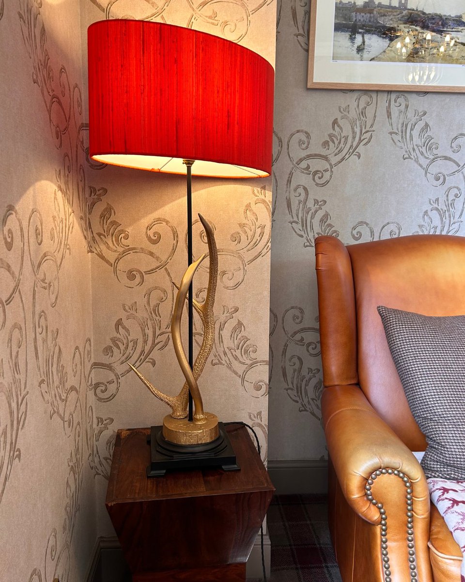 A 𝘵𝘰𝘶𝘤𝘩 of Scotland, 𝐚 𝐰𝐨𝐫𝐥𝐝 𝐨𝐟 𝐜𝐡𝐚𝐫𝐦 🏴󠁧󠁢󠁳󠁣󠁴󠁿✨

#ArdgowanAdventures