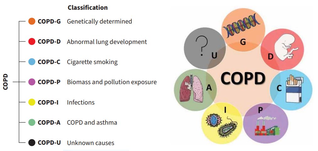 COPD is more than a smokers disease. This figure nicely presents the newly proposed COPD etiotypes, representing the different causes of the disease. <a href="/ERSpublications/">ERS publications</a> doi.org/10.1183/160006…