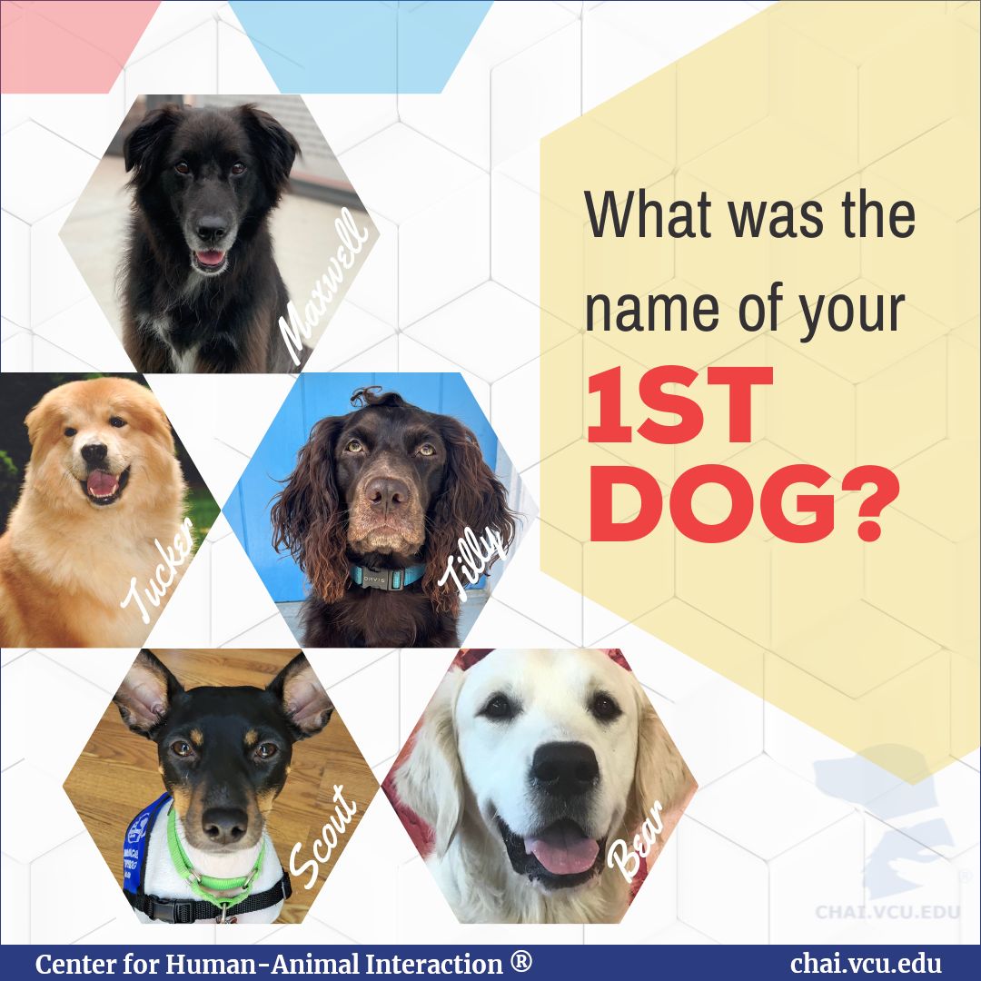 What was the name of your first dog? Post below! 

#DogsOnCall, #VCU, #VCUHealth, #RVA, #RVADogs, #TherapyDog, #Dogs, #AnimalAssistedTherapy, #TherapyDogsRock, #DogsOfInstagram  #Memories #Name #DogName