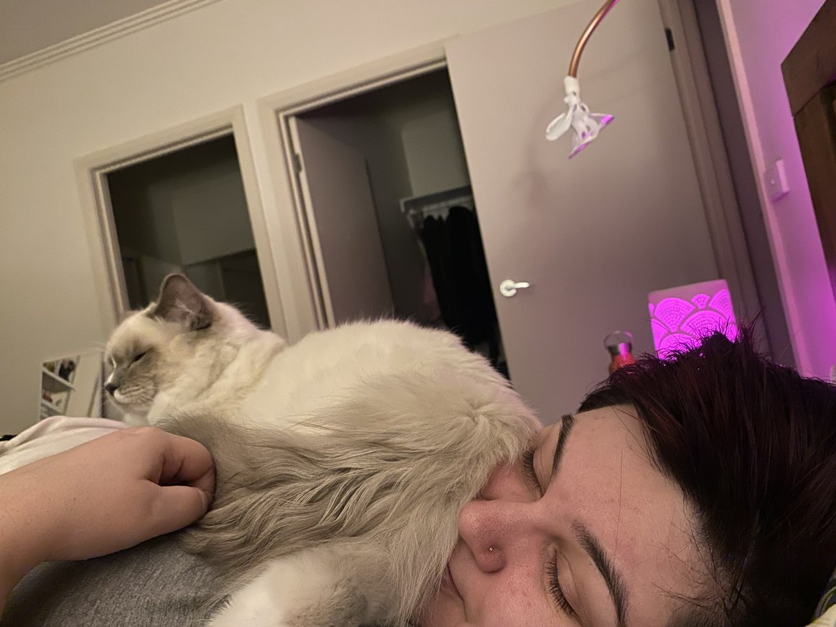 bakernatorOG's tweet photo. Personal space? Never heard of it! 🤣 https://t.co/KaYNft2Mnl