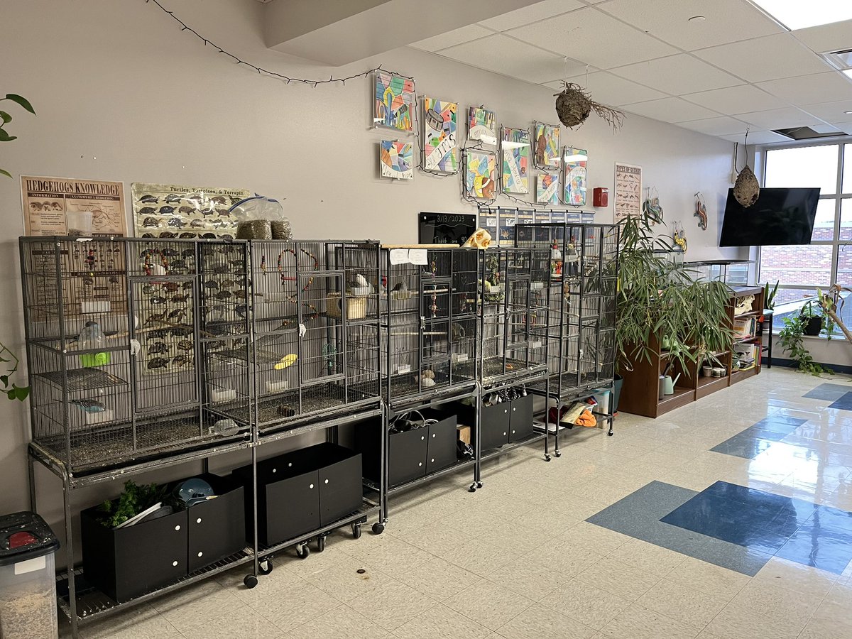 Mike Szydlowski tweet media