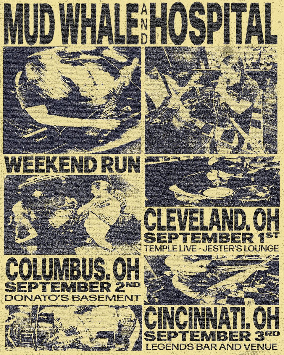 Mud Whale tweet media