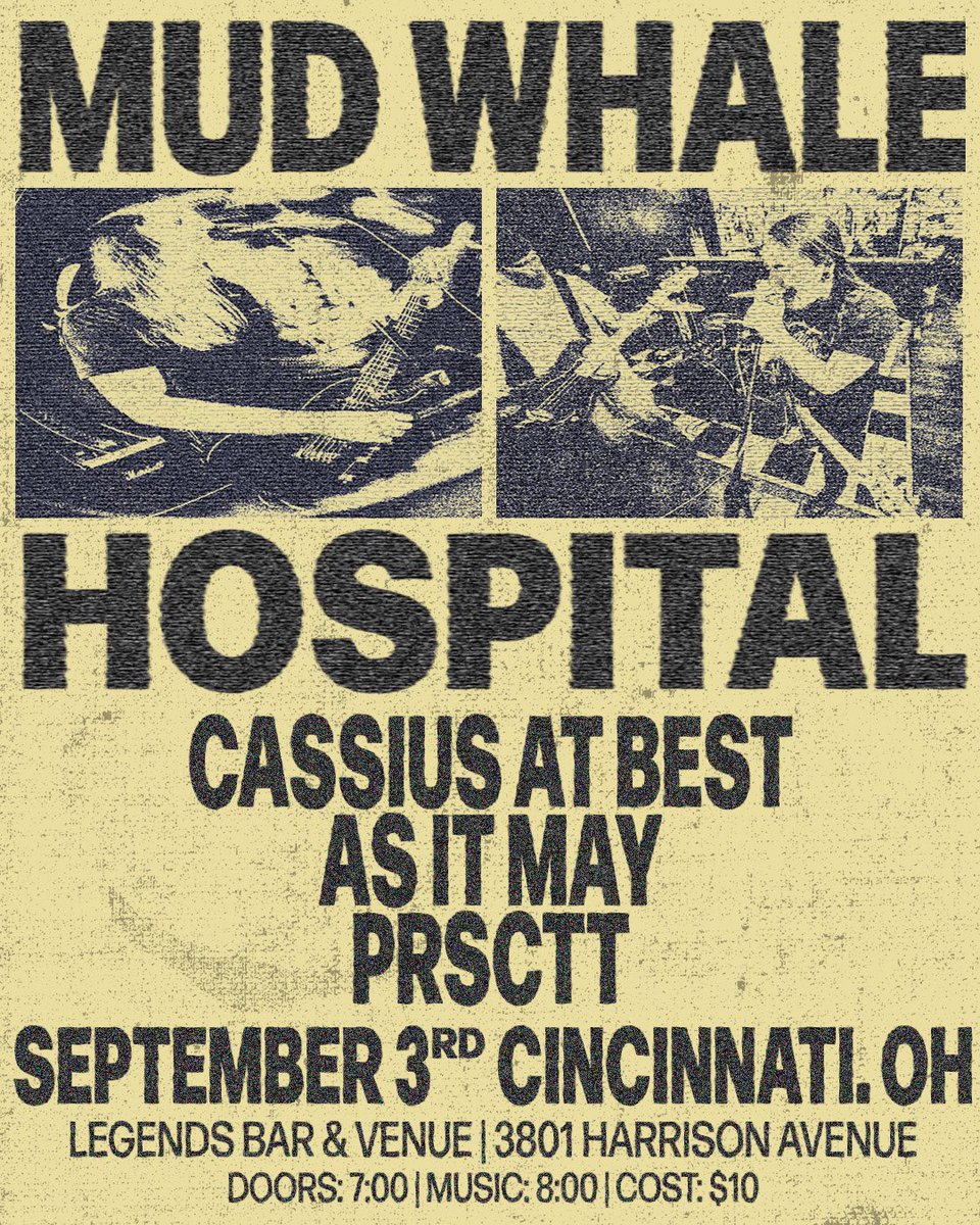 Mud Whale tweet media