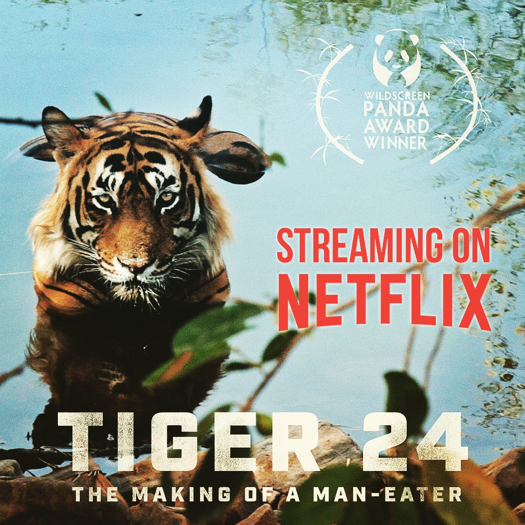 Kandoo Films tweet media