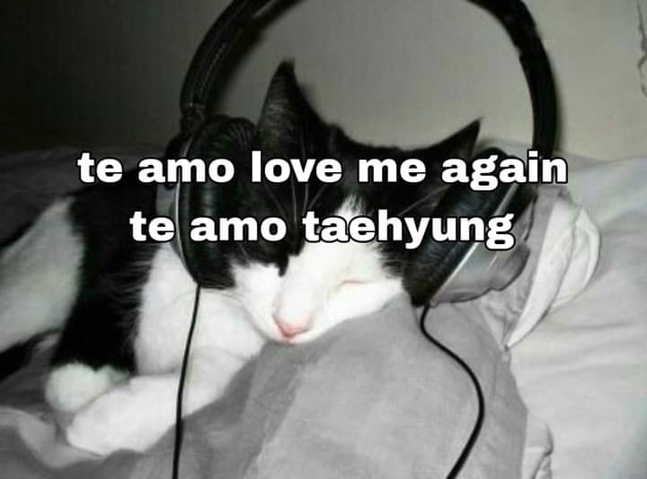 danljjk's tweet photo. tengo 3 neuronas y todas me dicen taehyung, taehyung, taehyung https://t.co/MIjocIlcFO